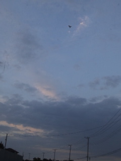 (untitled)