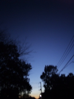 (untitled)