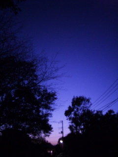 (untitled)