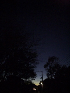 (untitled)