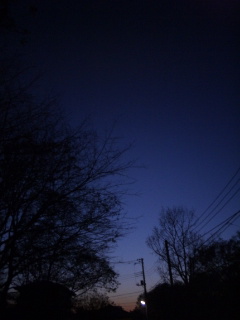 (untitled)