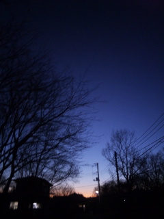 (untitled)
