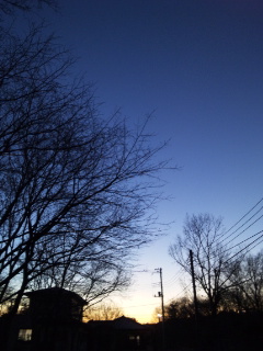 (untitled)
