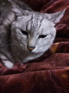 (untitled)