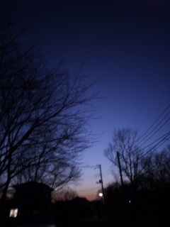 (untitled)