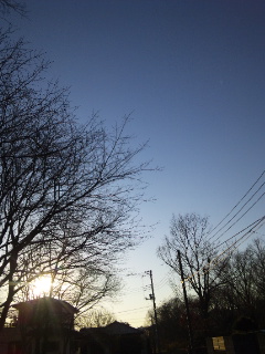 (untitled)