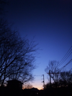 (untitled)