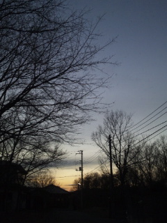 (untitled)