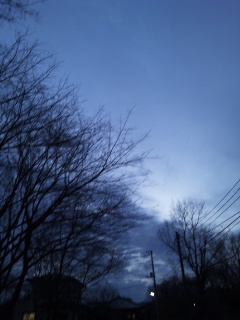(untitled)