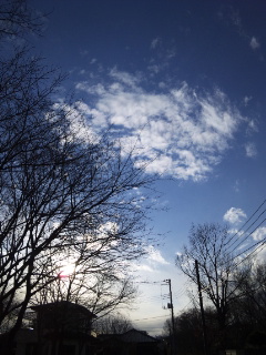(untitled)