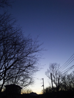 (untitled)