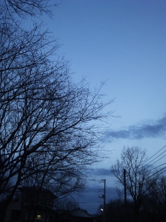 (untitled)
