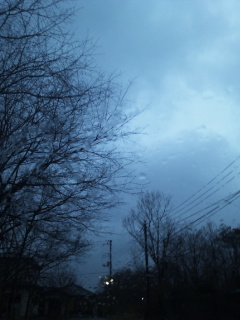 (untitled)