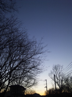 (untitled)