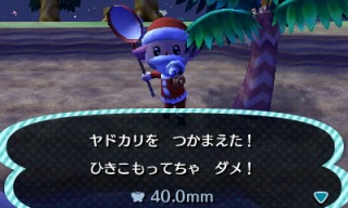 とび森