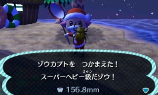 とび森