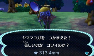 とび森