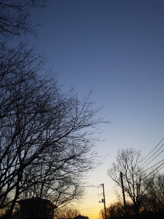 (untitled)