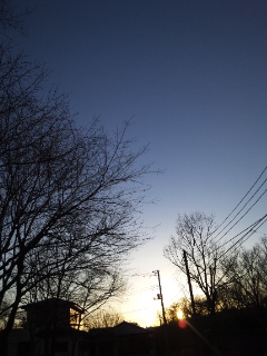 (untitled)