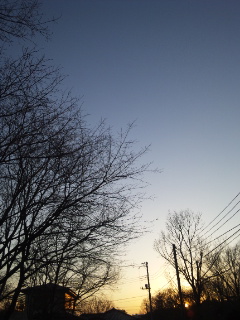 (untitled)