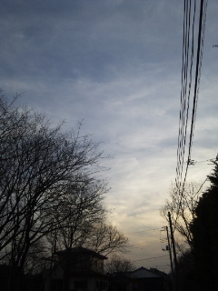 (untitled)