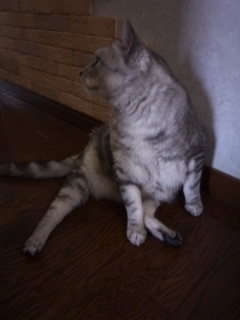 (untitled)
