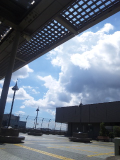 (untitled)