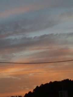 (untitled)