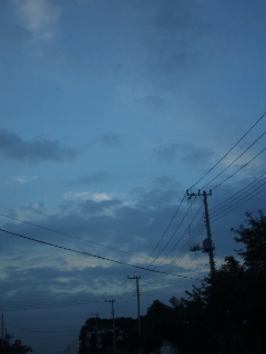 (untitled)