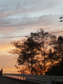 (untitled)