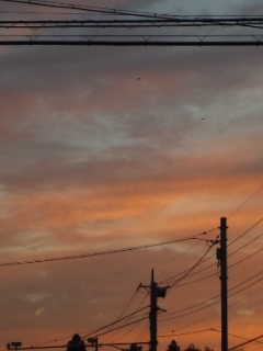 (untitled)