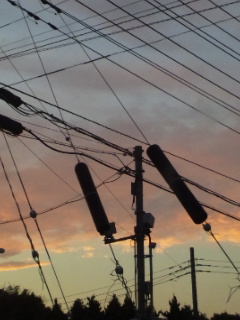 (untitled)