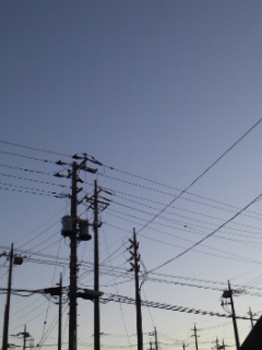 (untitled)