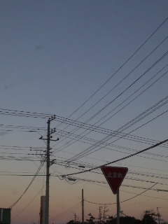 (untitled)