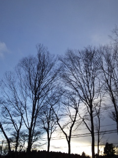 (untitled)