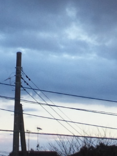 (untitled)