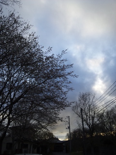 (untitled)