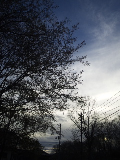 (untitled)