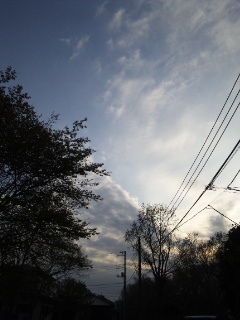 (untitled)