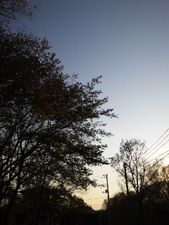(untitled)