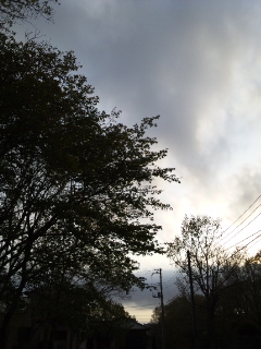 (untitled)