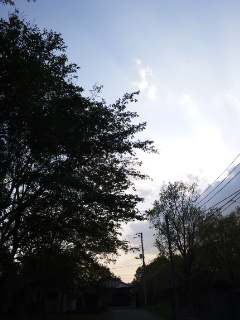 (untitled)