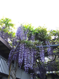 (untitled)