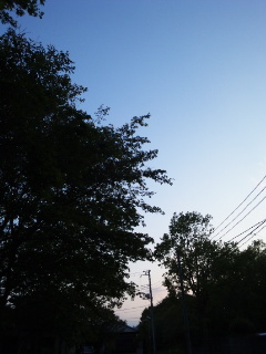 (untitled)