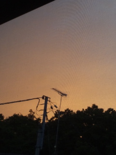 (untitled)
