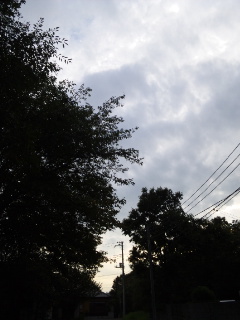 (untitled)