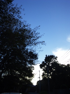 (untitled)