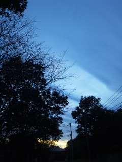 (untitled)