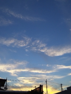 (untitled)