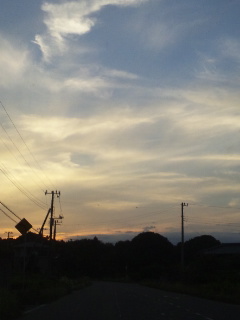 (untitled)